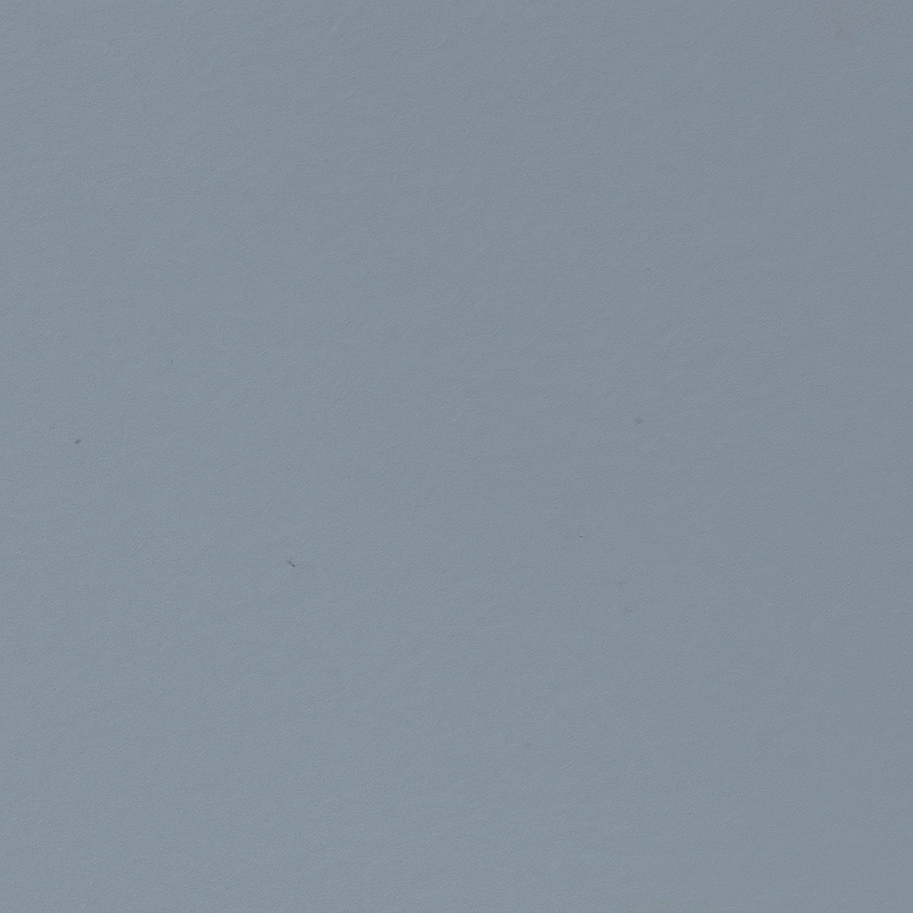 D1484 (Solid Color)