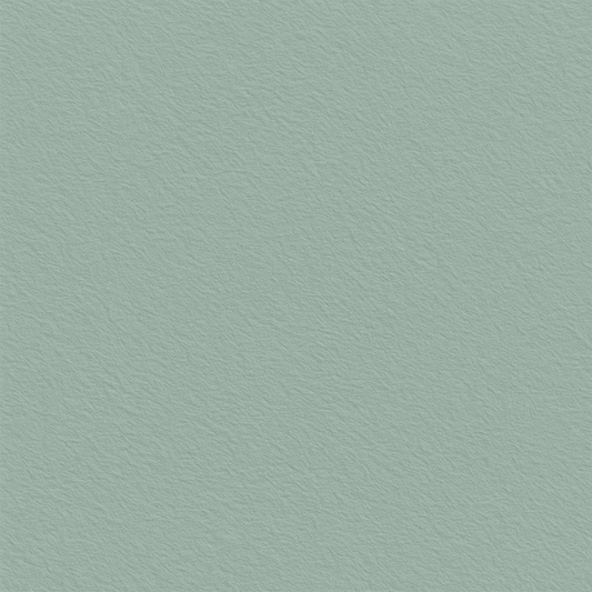C2966 (Solid Color)