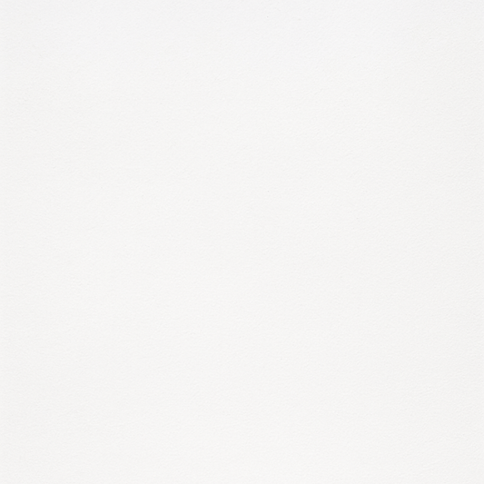 FG3200 (Smooth Silk)