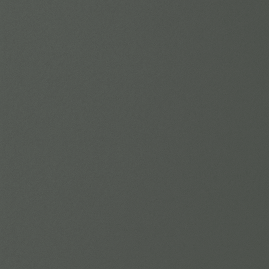 FG8793 (Smooth Silk)